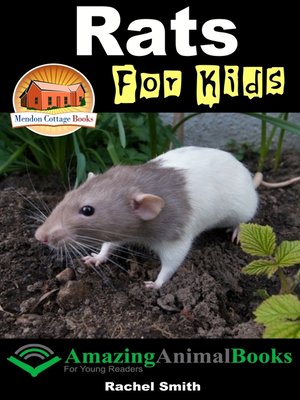 cover image of Rats For Kids